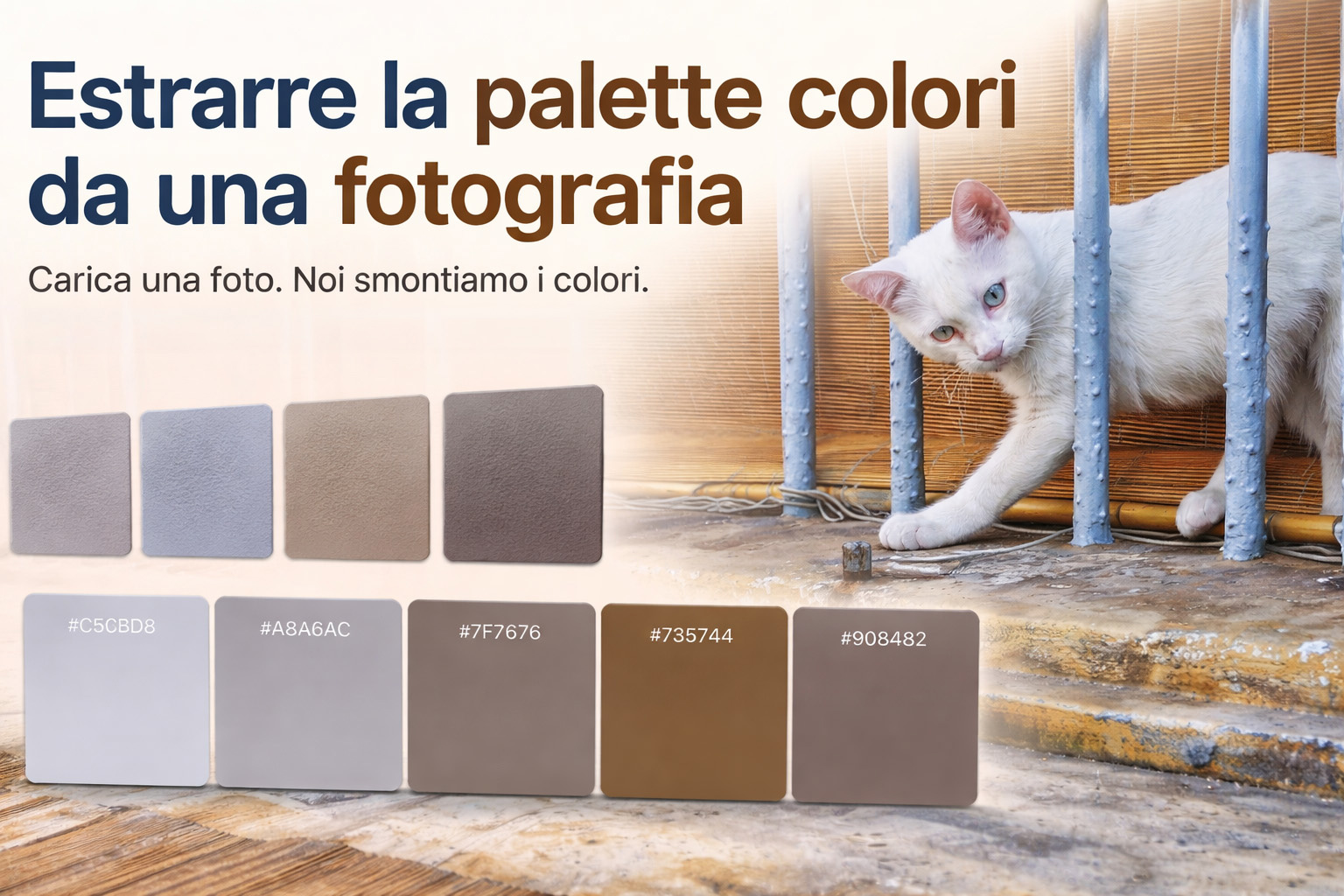 Estrarre la palette colori da una fotografia